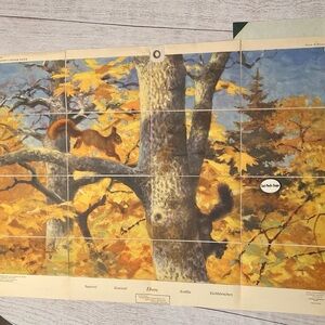 Vintage Antique Fold Up Book Squirrel School Display Chart Wall Map Ephemera